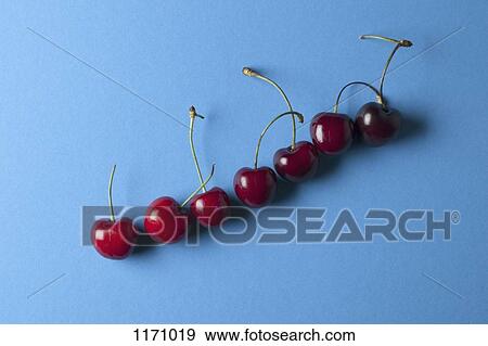A row of ascending cherries with stems View Large Photo Image Stock Photo - A row of ascending cherries with stems. Fotosearch