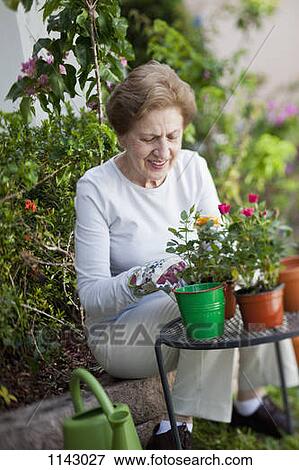 Stock Photo - A senior woman gardening. Fotosearch