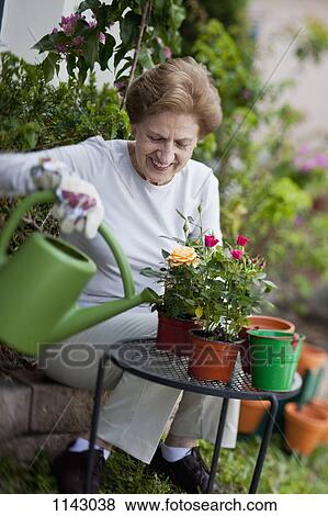 A senior woman gardening View Large Photo Image Stock Photo - A senior woman gardening. Fotosearch