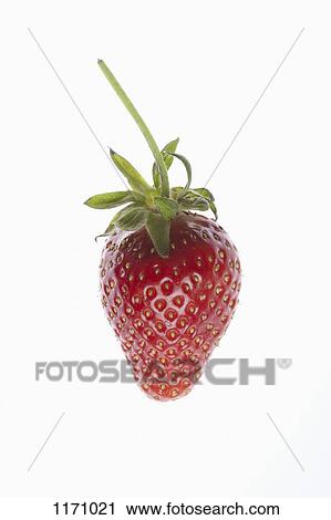 Stock Image - A single strawberry on a white background. Fotosearch