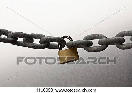 A steel chain connected with a gold padlock View Large Photo Image Stock Image - A steel chain connected with a gold padlock. Fotosearch