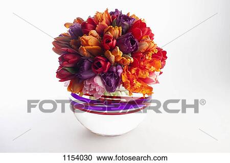 A vase full of tulips View Large Photo Image Stock Image - A vase full of tulips. Fotosearch