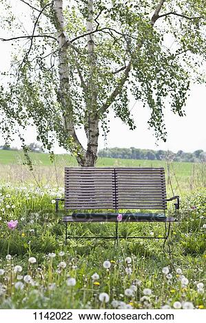 Stock Image - A wooden bench in a field. Fotosearch