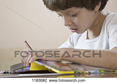 A young boy concentrating on his workbook View Large Photo Image Stock Image - A young boy concentrating on his workbook. Fotosearch