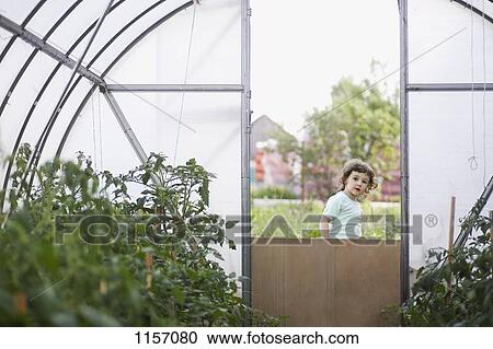 A young girl looking in to a greenhouse View Large Photo Image Stock Image - A young girl looking in to a greenhouse. Fotosearch