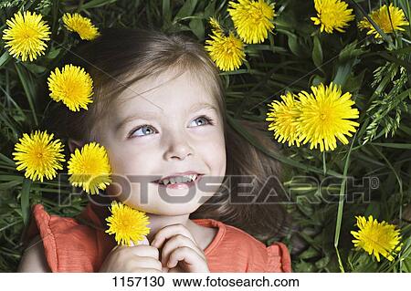 Stock Image - A young girl lying amongst dandelions. Fotosearch