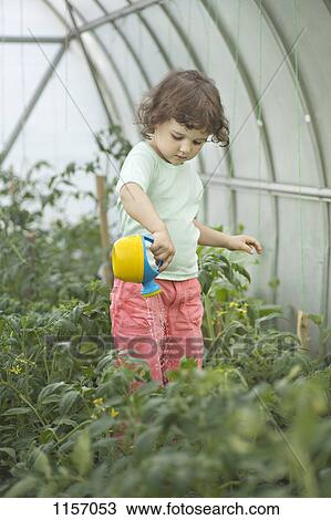 A young girl watering plants in a greenhouse View Large Photo Image Stock Image - A young girl watering plants in a greenhouse. Fotosearch