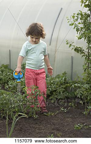 A young girl watering plants in a greenhouse View Large Photo Image Stock Photo - A young girl watering plants in a greenhouse. Fotosearch