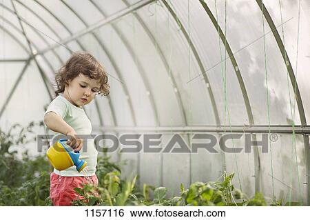 A young girl watering plants in a greenhouse View Large Photo Image Stock Photograph - A young girl watering plants in a greenhouse. Fotosearch