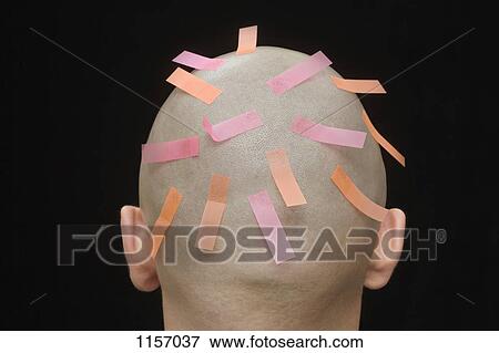 Adhesive tabs on the head of a man, rear view View Large Photo Image Stock Photo - Adhesive tabs on the head of a man, rear view. Fotosearch