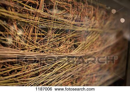 An abundance of computer cables behind glass View Large Photo Image Stock Photograph - An abundance of computer cables behind glass. Fotosearch