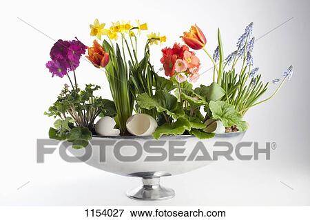 An arrangement of spring flowers, including daffodils and tulips View Large Photo Image Stock Photo - An arrangement of spring flowers, including daffodils and tulips. Fotosearch