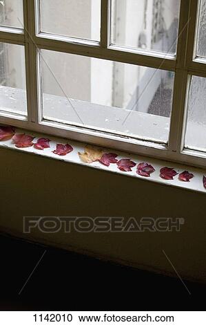 Autumn leaves on a window sill View Large Photo Image Stock Image - Autumn leaves on a window sill. Fotosearch