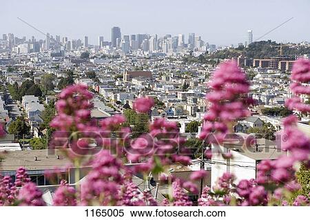 City view, San Francisco, California, USA View Large Photo Image Stock Photography - City view, San Francisco, California, USA. Fotosearch