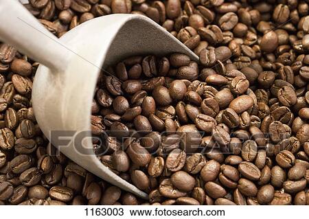 Stock Image - Coffee beans and scoop. Fotosearch