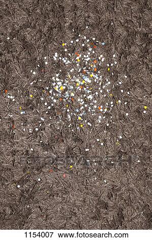 Confetti sprinkled on a brown shag rug View Large Photo Image Stock Photo - Confetti sprinkled on a brown shag rug. Fotosearch