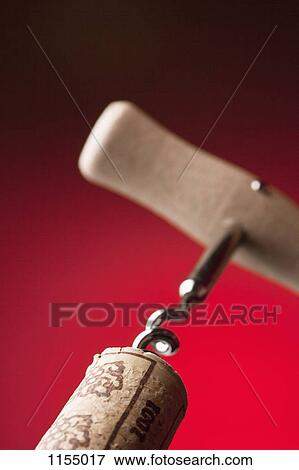Corkscrew in cork View Large Photo Image Stock Photo - Corkscrew in cork. Fotosearch