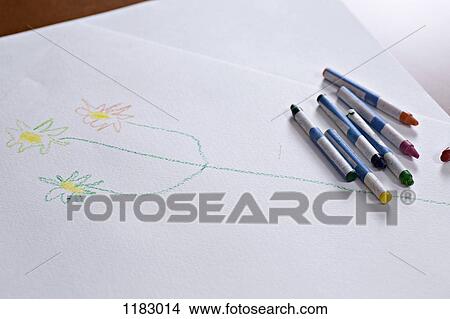 Crayons lying on a child's drawing of a stem with flowers on it View Large Photo Image Picture - Crayons lying on a child's drawing of a stem with flowers on it. Fotosearch