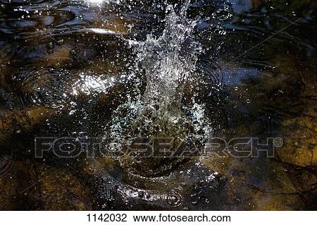 Detail of water splashing View Large Photo Image Stock Image - Detail of water splashing. Fotosearch