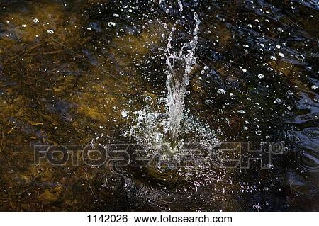 Detail of water splashing View Large Photo Image Stock Photograph - Detail of water splashing. Fotosearch