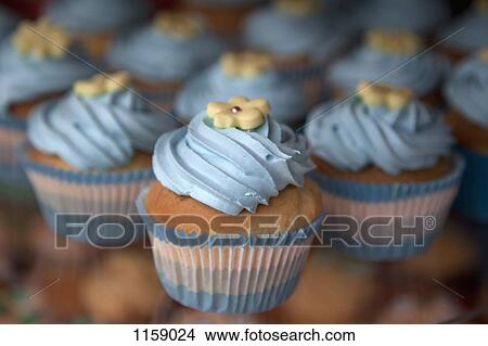 Display of flower swirl cupcakes View Large Photo Image Picture - Display of flower swirl cupcakes. Fotosearch
