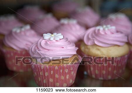 Stock Image - Display of flower swirl cupcakes. Fotosearch