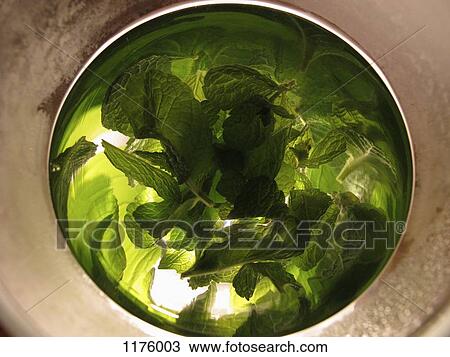 Distorted reflections of fresh mint in silver bowl View Large Photo Image Stock Image - Distorted reflections of fresh mint in silver bowl. Fotosearch