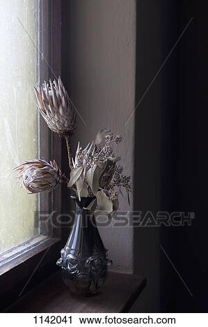 Dried flowers in a vase View Large Photo Image Stock Image - Dried flowers in a vase. Fotosearch