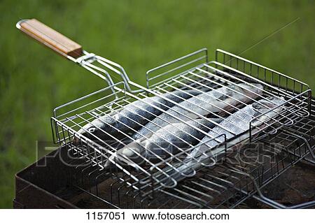 Fish on a barbeque grill View Large Photo Image Stock Image - Fish on a barbeque grill. Fotosearch