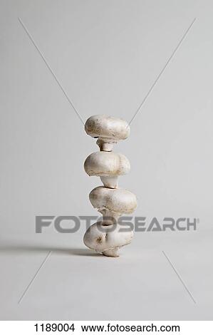 Four mushrooms arranged in a stack, studio shot View Large Photo Image Picture - Four mushrooms arranged in a stack, studio shot. Fotosearch