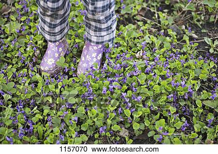 Low section of a girl standing in a garden with gumboots View Large Photo Image Stock Image - Low section of a girl standing in a garden with gumboots. Fotosearch