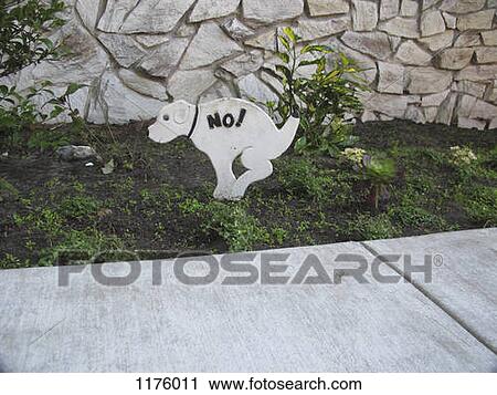 No toilet for dogs symbol on public lawn by sidewalk View Large Photo Image Stock Image - No toilet for dogs symbol on public lawn by sidewalk . Fotosearch