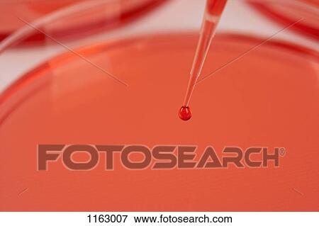 Pipette over medical sample View Large Photo Image Stock Photo - Pipette over medical sample . Fotosearch