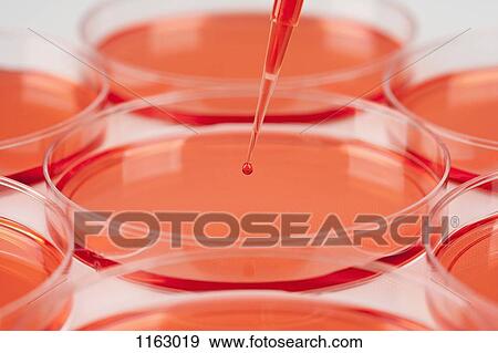 Pipette over medical samples View Large Photo Image Stock Photo - Pipette over medical samples. Fotosearch