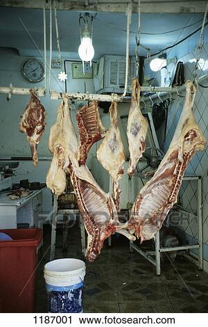 Raw meat hanging in storage room View Large Photo Image Stock Image - Raw meat hanging in storage room. Fotosearch