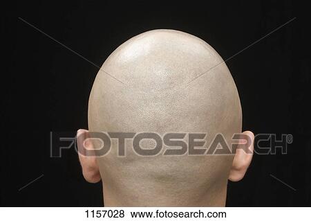 Rear view of the shaved head of a man View Large Photo Image Stock Photo - Rear view of the shaved head of a man. Fotosearch
