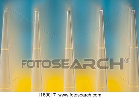 Row of pipettes View Large Photo Image Stock Photo - Row of pipettes. Fotosearch