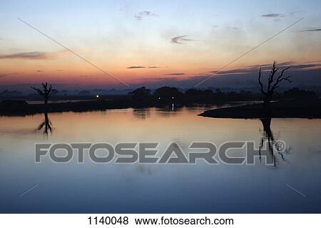 Stock Photo - Silhouette of bare trees on Ayeyarwady River, Mandalay, Burma. Fotosearch