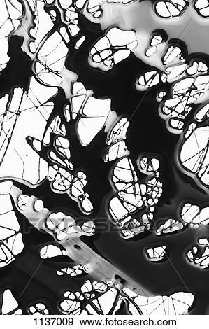 Splattered black paint making a complex abstract pattern on a white surface View Large Photo Image Stock Photo - Splattered black paint making a complex abstract pattern on a white surface. Fotosearch