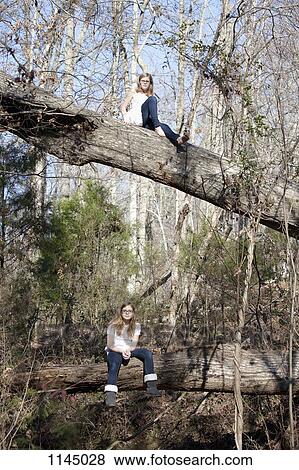 Two similar girls sitting on tree trunks in forest in Mooresville, North Carolina, USA View Large Photo Image Stock Photo - Two similar girls sitting on tree trunks in forest in Mooresville, North Carolina, USA. Fotosearch