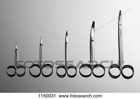 Various surgical scissors arranged from smallest to largest View Large Photo Image Stock Image - Various surgical scissors arranged from smallest to largest. Fotosearch