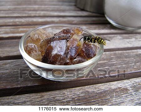 Stock Photography - Wasp on rock sugar. Fotosearch