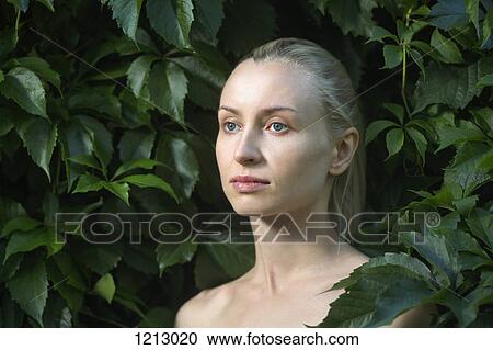 A beautiful bare shouldered woman surrounding by lush foliage View Large Photo Image Stock Image - A beautiful bare shouldered woman surrounding by lush foliage. Fotosearch