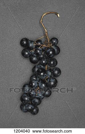 Stock Image - A bunch of red grapes. Fotosearch