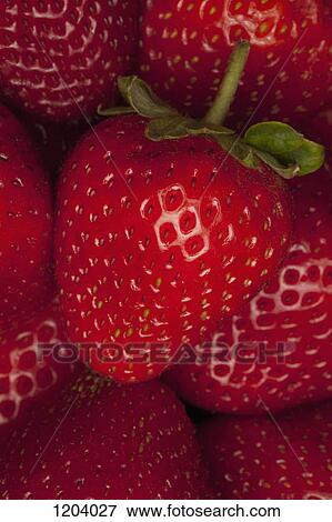 A bunch of strawberries, close-up, full frame View Large Photo Image Stock Photo - A bunch of strawberries, close-up, full frame. Fotosearch