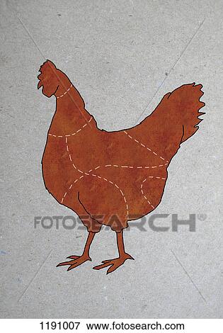 Stock Photo - A butcher's diagram of a chicken. Fotosearch