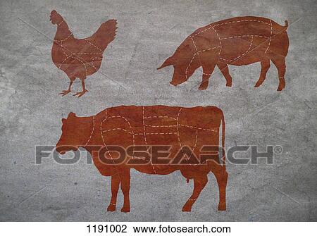 A butcher's diagram of a cow, a chicken and a pig View Large Photo Image Stock Image - A butcher's diagram of a cow, a chicken and a pig. Fotosearch