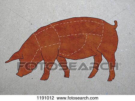 A butcher's diagram of a pig View Large Photo Image Stock Image - A butcher's diagram of a pig. Fotosearch