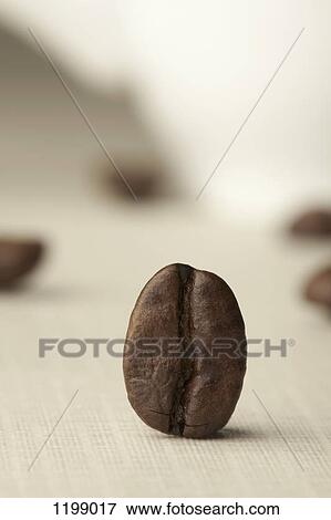A coffee bean View Large Photo Image Stock Photo - A coffee bean. Fotosearch