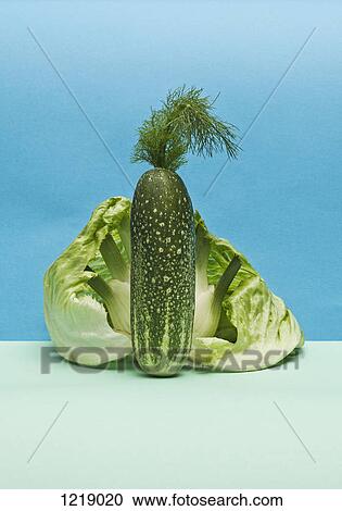 A cucumber, lettuce and fennel arranged into an abstract shape View Large Photo Image Stock Image - A cucumber, lettuce and fennel arranged into an abstract shape. Fotosearch